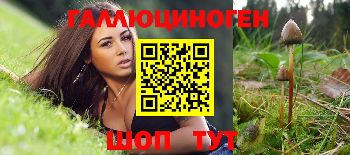 Псилоцибиновые грибы ЛСД  Псилоцибиновые грибы MAGIC MUSHROOMS  купить закладку  Вход с VPN  Новоалександровск 